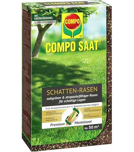 COMPO SAAT Schatten-Rasen, Rasensamen / Grassamen, Spezielle  Rasensaat-Mischung mit wirkaktivem Keimbeschleuniger, 2 kg, 100 m :  Amazon.de: Garten