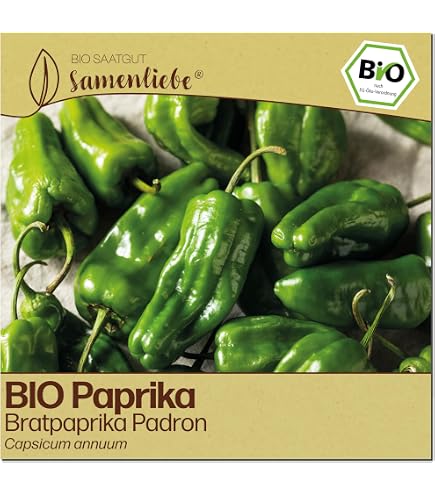 Chrestensen Bratpaprika Padron Capsicum Annuum Samenfest Spanische  Spezialitt fr 8 Pflanzen : Amazon.de: Garten