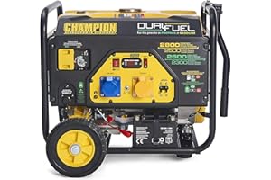 Champion Power Equipment CPG3500E2-DF 2800 Watt LPG Dual Fuel Portable Frame Generator - 224 cc Engine - Petrol or Propane, 19 Hours Max, Electric Start, Intelligauge Display, Shut Off Sensor
