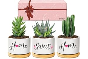PANDASCH House Warming Gifts for New Home, Best New Home Gifts for Couple Friends Women, Home Sweet Home Succulent Pots Cute House Warming Presents New Home Owner Gift Ideas for Christmas, Anniversary