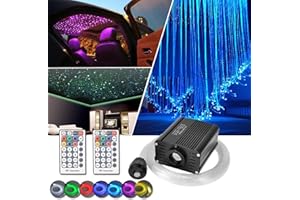 DEWEL Ciel Étoile Voiture Fibre Optique Lumineuse, Projecteur Galaxie, Bluetooth 16W RGBW LED Fibre Optique Star Plafonniers Kit/Télécommande 450PCS * 0.75MM * 2M Fibre Optique