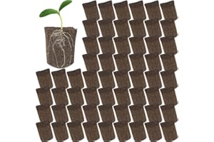 Reuvv 30pcs Plant Seed Starter Sponges Grow Sponges Good Air and Water Permeability Growth Plugs for Hydroponic Flowers Plants
