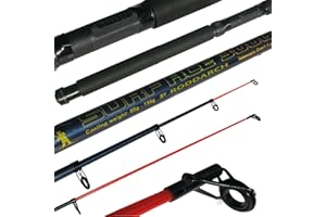 Roddarch 10' Telescopic Sea Fishing Rod Beachcaster Pier Fishing Rod Travel Sea Rod