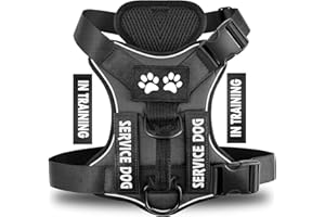 WODONDOG Harnais pour Chien Personnalisé, Confort Réglable et Respirable Réfléchissant Harnais Gilet pour Chiens Petits, Moyens et Grands
