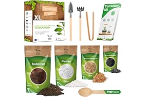 PYEF CRAFTS Kit Terrarium Plante DIY - Kit Prêt-à-Pousser pour la Création de Jardin en Bouteille - Prêt-Pousser Terrarium - Set pour Faire Pousser - sans la Plante (sans Verre, XL)