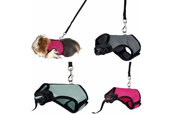 TRIXIE Harnais souple avec laisse de 1,20 m - pour petits animaux - tour de ventre réglable en continu entre 18 - 25 cm - fermeture velcro et encliquetable - différentes couleurs - choix aléatoire - 61512