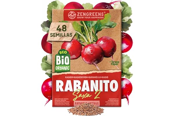 ZenGreens® - Semillas de rábanobio - verduras para cultivar fácilmente en el jardín, balcón o parterre elevado - hortalizas - rabanito - saxa 2
