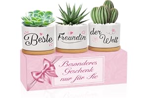 MESTECTPET Geschenke für Freundin, Beste Freundin der Welt Blumentöpfe, Geschenke für Beste Freundin Weihnachten, Geburtstag, Dankeschön Geschenke Freundschaftsgeschenke