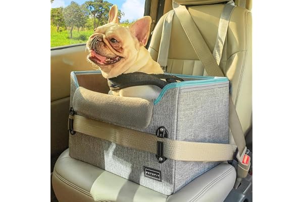 Petsfit Panier Chien Voiture, Siège Auto pour Chiens jusqu'à 8 kg, Pliable Transport Arrière avec Ceinture de Sécurité, Gris