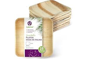 GoBeTree Platos Desechables de Hoja de Palma 25 Platos Cuadrados de 18 cm. Vajilla para barbacoas, picnic y Fiesta de cumpleaños, Similar al bambú, más fuerte que platos de papel