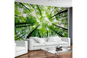Arsey Arazzo da parete con motivo foresta cielo naturale, paesaggio, estetico, telo da parete XXL, decorazione per soggiorno, verde, extra grande, 300 x 180 cm
