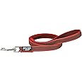 Color & Gray Super-Grip Leash with Handle, 20 mm x 1 m, Red-Gray