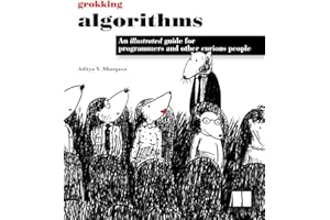 Manning Publications Grokking Algorithms: An illustrated guide for programmers and other curious people