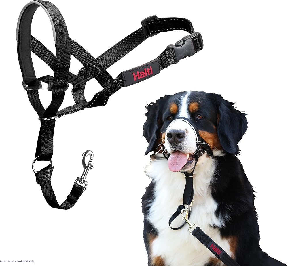 Durağı'nın Halti Headcollar, Köpek Harness Küçük, Orta ve Büyük Köpekler, Siyah, Boyut 4 için, Lead üzerinde Çekme