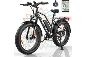 Vipdrive Bicicletta Elettrica 48V 13AH con Motore da 250W – Bici Elettrica per Uomo e Donna with 24'' Fat Tire, Mountain Bike con Freno a Disco, Trasmissione a 7 Velocità e Autonomia Fino a 100 km