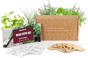 NAUKUA Pack 6X Semillas Plantas Aromáticas y Culinarias - Semillas Orgánicas de España - 6X Marcadores de Bambú - Manual de Plantación Paso a Paso + eBook de Recetas con Hierbas