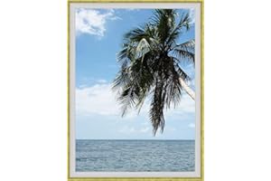 RK CADRES Caisse américaine pour Une Toile Format Figure 20 60x73 / 73 x 60 Cadres Caisse Americaine Blanc Or, 4 cm de Largeur, Cadre en Bois