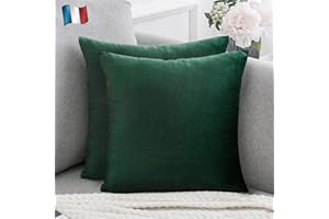 Douceur De Plumes Lot de 2 Housses de Coussin décorative Vert Foncé Velours 40x40 cm Uni, Taie d'oreiller Vert Bouteille Carré Doux et Moderne Canapé Salon Scandinave (2 Vert Foncé)