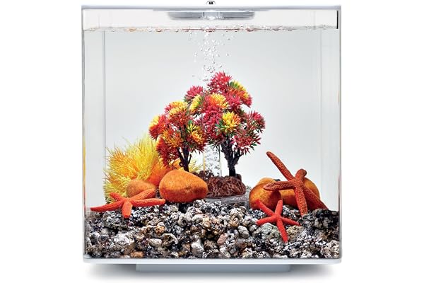 biOrb Ensemble décoratif 15L Automne