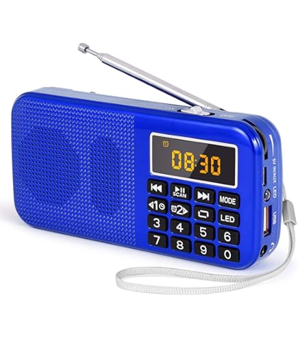 Poste Radio Portable Bluetooth/USB/TF, Récepteur AM/FM/SW1-2 Avec Batterie Rechargeable 1200 MAh, Antenne 360° Et Poignée, Transistor Radio A Pile Pour Camping, Voyages & Maison - Photo, Audio & Vidéo