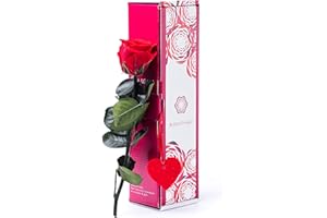 Rosen-Te-Amo, regalo dia de la madre | rosa eterna preservada roja edición "San Valentín" | caja regalo refinada || flores naturales domicilio | decoracion hogar | regalos originales para mujer