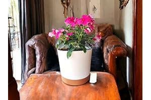 Mima Tus Plantas Macetero con Plato Incorporado (Crema, 25 cm x 24 cm x 21.5 cm)