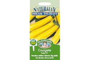 NATURALLY DISEASE TOLERANT Mr Fothergill's 20786 Vegetable Seeds, COURGETTE Soleil F1, Yellow
