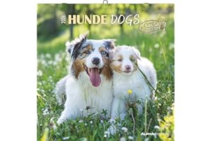 Hunde 2026 - Broschürenkalender 30x30 cm (30x60 geöffnet) - Kalender mit Platz für Notizen - Dogs - Bildkalender - Wandkalender - Hundekalender: Dogs