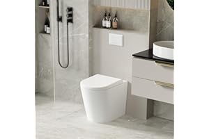 Robanmoa Modern Back to Wall Toilet Concealed Cistern Bathroom Toilets White Ceramic BTW Short Projection WC Pan Quick Release Soft Close Seat Hidden Tank Round Compact Toilet