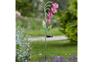 SMART GARDEN Smart Solar ALTUNA 1012535 - Flores Foxglove 1012535