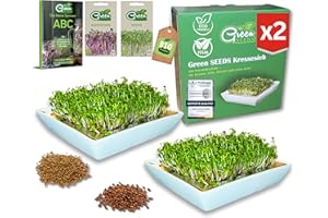 ‎GREEN SEEDS Green SEEDS® Kressesieb 2er Set [Das Original] mit 2 x Saatgut-Set | Edelstahlsieb mit hochwertiger Keramikschale nachhaltig verpackt | Anzuchtschale 14 x 14cm + Sprossen-ABC | Kresseschale Keimschale
