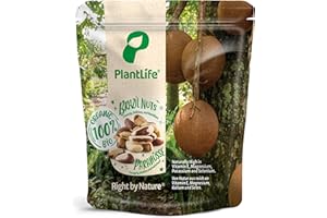 PEARLS OF SAMARKAND TREASURES OF THE SILK ROAD PlantLife Semi di noce del Brasile BIO 1kg – noci del Brasile crude naturali non trattate - 100% riciclabile