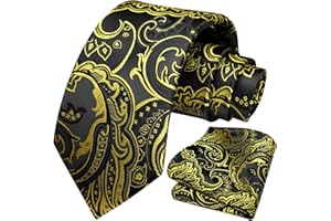 HISDERN Męski krawat paisley chusteczka ślubna krawat i poszetka zestaw