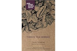 MAGIC GARDEN SEEDS Tomate 'Old German' (Solanum lycopersicum) 10 Samen alte Sorte
