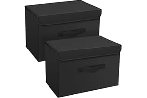 DIMJ Scatole per Armadio - Scatole Portaoggetti Contenitori con Coperchio Pieghevole, Scatola Porta Oggetti con Manici, Non Tessuto, per Armadio, Scaffali, 2 Pezzi, Nero, 38 x 25 x 25 cm