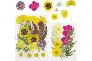 Cayway 40 szt. Naturalna żywica tłoczone liście pomarańczowe, tłoczone suszone kwiaty pomarańczowe, suszone kwiaty prasowane prawdziwe kwiaty do scrapbookingu, biżuteria z żywicy epoksydowej