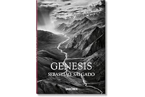 Salgado, Genesis
