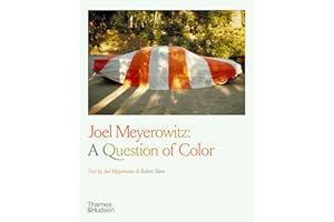 Joel Meyerowitz: A Question of Color