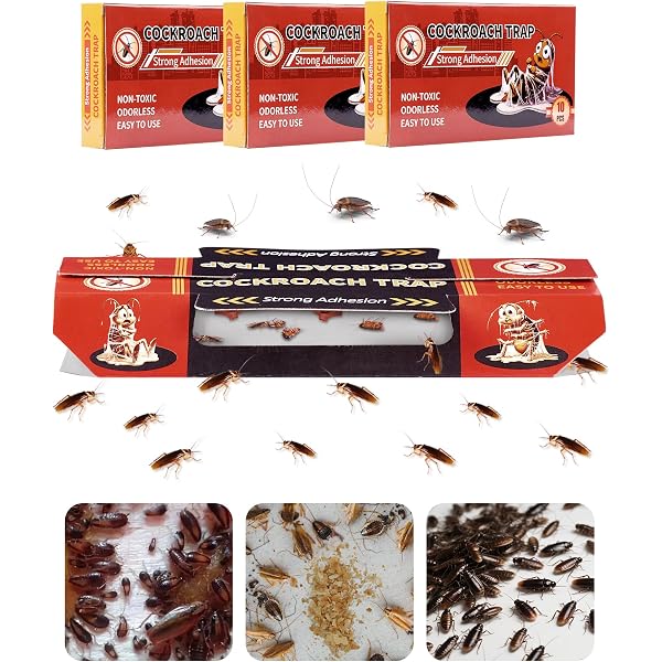 Pack De 22 Pièges à Cafards Professionnels - Solution Anti-blattes Non Toxique Pour Maison