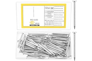 LIYIJIKEJI 100 Pz Chiodini per Quadri Muro, Chiodi in Acciaio per Quadri, Chiodi da Muro, Chiodi per Cartongesso, Chiodi per Quadri Muro, Chiodi per Cemento Mattoni Legno Appendere Quadri (50 mm, Argento)