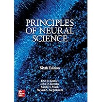 Buy Principles of Neural Science, Sixth Edition (MEDICAL/DENISTRY