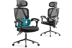 EUREKA ERGONOMIC Mesh Office Desk Chair with Lumbar Support, Computer Swivel Chair with Adjustable 3D Wide Headrest Armrest, Big and Tall Comfy Seat for Office/Home Work