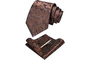 JEMYGINS Cravatta Uomo Paisley Design in Diversi Colori con Fazzoletto e Fermacravatta