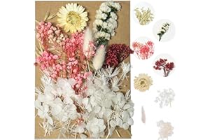 RHZXD Trockenblumen Set, Natürliche Getrocknete Blumen, DIY Gepresste Getrocknete Blumen, Echte Getrocknete Blumen für Kunst Basteln Handwerk Epoxidharz Deko