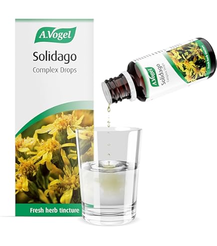 A.Vogel Golden Rod & Knotgrass Tea – Natural Health Options
