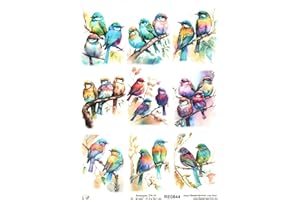Josys Bastelmärchen Reispapier A4 Strohseide Decoupage Bunte Vögel auf AST Baum Vogel RE0844