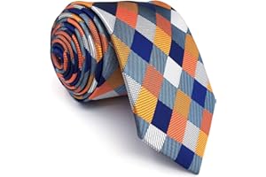 S&W SHLAX&WING Ties for Men Multicolored Checked