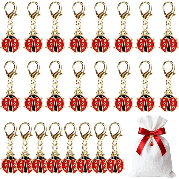 24 stuks lieveheersbeestje hangers kleine sleutelhanger geluksbrenger lieveheersbeestje geluksbrenger kerstdecoratie rood Ladybug emaille charme voor doe-het-zelf halsketting