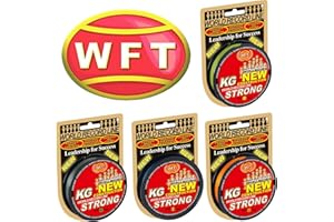 WFT KG Strong 300m 0,22mm 32kg, geflochtene Schnur, Meeresschnur, Angelschnur, Geflechtschnur