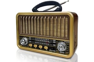 BLIMYSWE Radio Portatil Pequeña, Am/SW/FM Transistores Radio Vintage, Radio Bluetooth Recargable Soporte TWS/USB/Tarjeta TF/Función BT5.0, Radio a Pilas Retro para Cocina, Escritorio,Exterior (Oro)